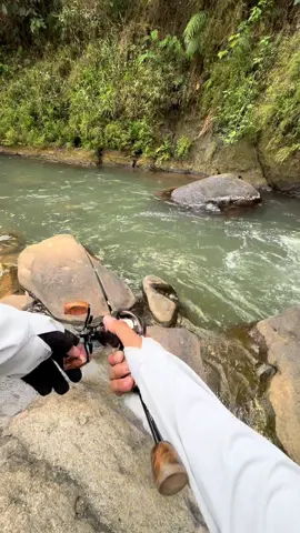 Cilik mbuerot 🎣 #castingfishing🎣 #hampala 