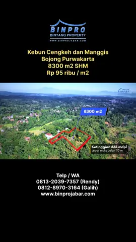 Telp / WA 0813-2039-7357 (Rendy) / 0812-8970-3164 (Galih) Tanah Kebun Teh Cengkeh Manggis di Daerah Dingin Purwakarta Luas Tanah 8300 m2  Legalitas SHM Harga Rp 95 ribu / m2  Lokasi Bojong Purwakarta Kebun pinggir jalan mobil  Lebar muka sekitar 70 meter  Udara cukup dingin dengan ketinggian 835 mdpl  Akses dari gerbang tol sekitar 11 km (20-25 menitan)  Terdiri dari pohon teh , cengkeh (omset 10-30 juta per kali panen) Manggis sekitar 3 pohon rutin berbuah , pisang, singkong , ladang sayuran dll  Sebelahnya sudah ada pemukiman penduduk Pemandangan cukup bagus Harga bisa nego langsung dengan pemiliknya