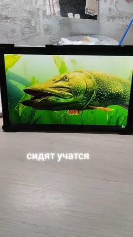 #учувоблераловитьщуку