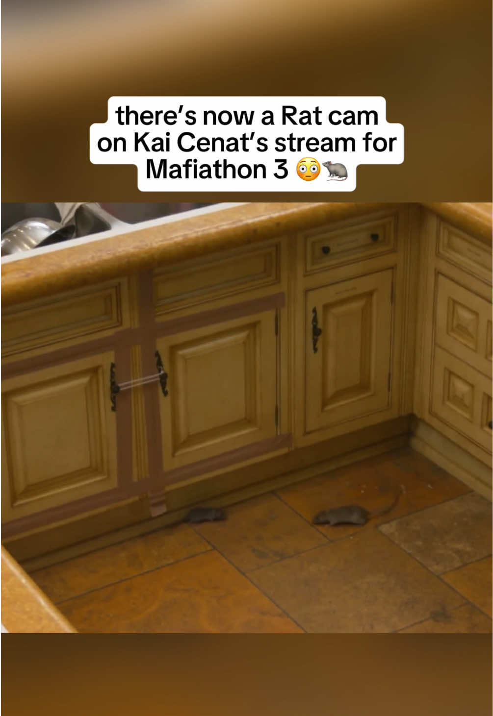 there's now a Rat cam on Kai Cenat's stream for Mafiathon 3 😭 #kaicenat #kai #mafiathon3  