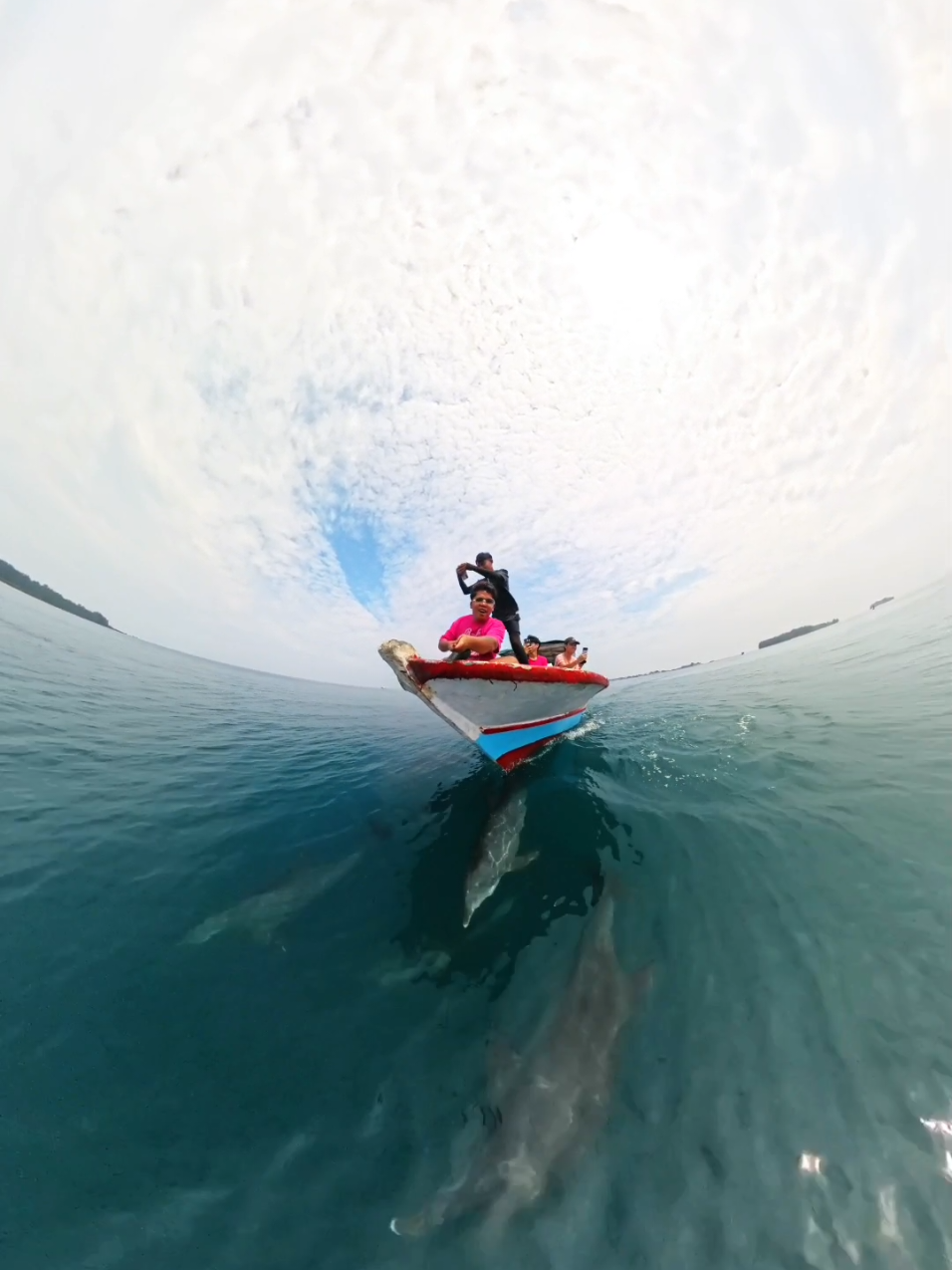 hi Dolphin 🐬🐬🐬 #fyp #lumbalumba #fpyシ #pulauharapan 