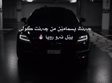 Gulli 👀🔥#foryou #fyp #fact #zaxo #gulli 