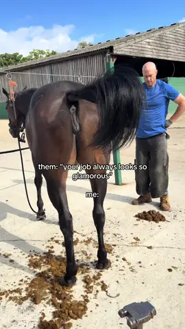can’t beat this lifestyle x #samdracottfarrier 