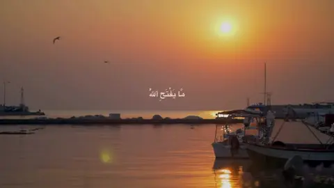 #القرآن_الكريم #اللهم_صل_على_محمد_وآل_محمد #fyp #محمد_صديق_المنشاوي #سورة_فاطر 