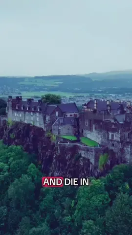 #Scotland #braveheart #fyp #foryoupage #pharmacy 