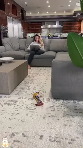 Beware of dolls#funny #funnyvideos #prank #scared #doll #usa #fyp 