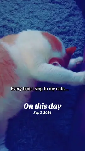 #onthisday and everyday! 😹❤️ #cats 