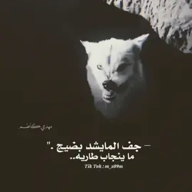 جف المايشد. #صعدو  #الناصريه_الشامخه👑🦅  #ناصريه_مصنع_الرجال🇮🇶  #لايك_وتعليق  #المصمم_ريشئ 