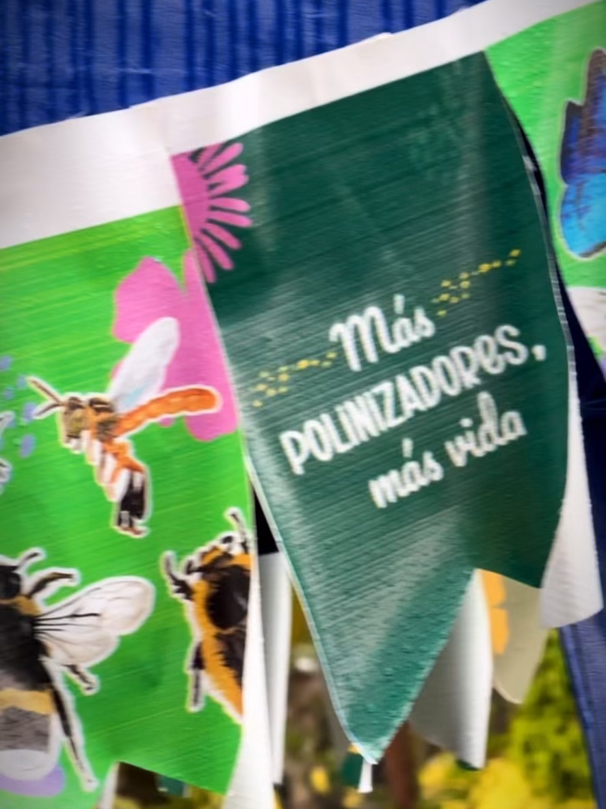 Con éxito se desarrolló el taller gratuito “Mi Primer Hotel de Insectos”  #Oxapampa #OxapampaConsciente