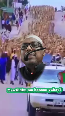 Mawliidku ma banaanyahay #sheekhmustafe #sheekh_xusen_cali_jabuti #socialmedia #viral?tiktok❤️❤️ #friendship 