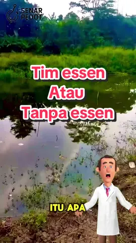 Coba yang kalian mancing liaran tanpa essen bisa bantu resep nya kawan #mancingliar #tukangmancing #mancingpemula #mancingmaniamantap #mancingmania 