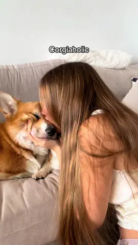 Obsession😱 #dog #corgis #dogperson #dogowner 