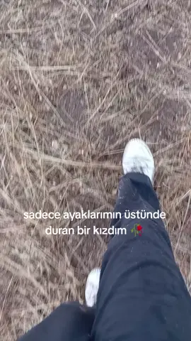 destek#keşfetteyizzzz #keşfet #fypage #öne #senegalaise_tik_tok 