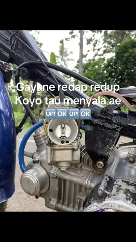 malu lah🤭#5tp #pringsewulampung #5tp_jupiterz #fypシ #5tpmenolakpunah 