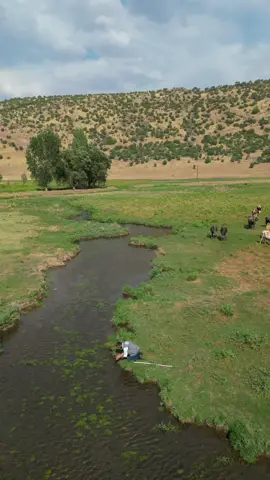 Çok anlamlı Bir Hadisi Şerif 🫶#devranpro #bitlis #güroymakbitlis #devranprodrone 