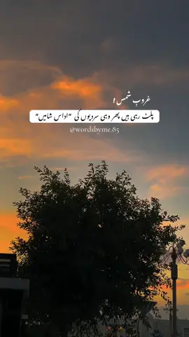 GOLDEN HOUR 🍁 سردیوں کی وہی پرانی شامیں ۔۔ ڈھلتے سورج کے سائے، خاموش فضائیں، اور دل میں کچھ ان کہی سی اداسی۔ #sunset #qoutes #feelings #foryou #foryoupage 