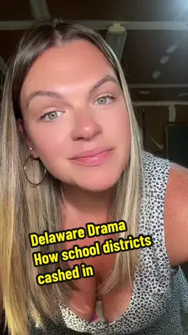 DELAWARE DRAMA: the school districts cashed in on the botched reassessment #delaware #doe #schoolboard #tax #drama 