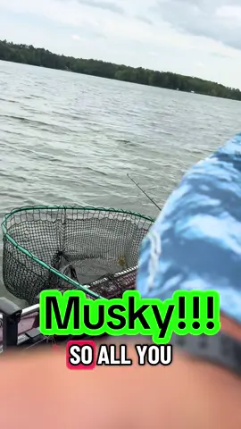 1st musky of September!!!#fishing #foryou #fish #fishtok #tiktok 