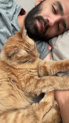 Cuddles cure what words can’t 💛  Does your pet help take the sadness away too? #catdad #catlovers #cats #gato #catsoftiktok 