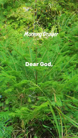 Dear GOD