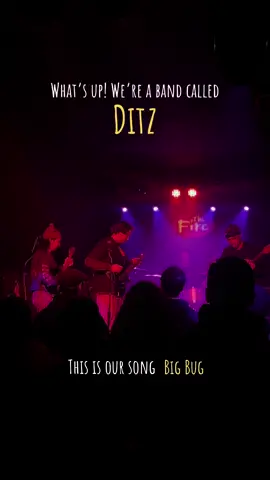 Where my bug heads at #livemusic #bigbug #mathrock #emo #midwestemo 