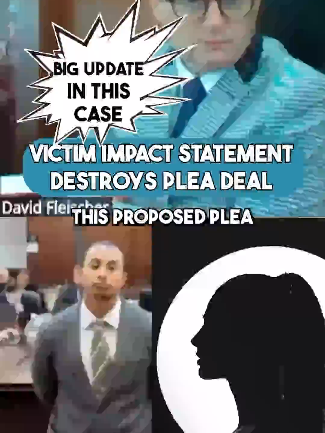 BIG UPDATE - Victims Statement DESTROYS Plea Deal#judgefleischer