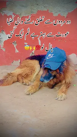 @سید مہدی شمسی ملتان والے☑️ @mehdishamsi10 