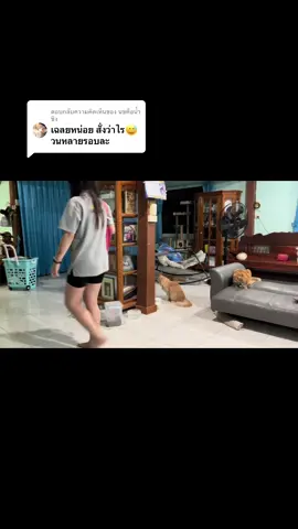 ตอบกลับ @นขคือน้ำขิง ระบบเสียง เบ๊บี๊ค่ะ #แมวส้ม #fyp #แมวส้มหลุดqc #catsoftiktok 