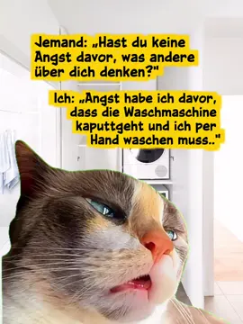 Meine Angst Riktok Vorlage #catmeme #lustig #Angst #meme #CapCut 