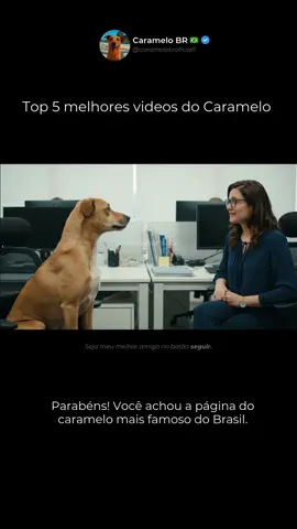 5 melhores vídeos do Caramelo pra morrer de rir 🤣  #caramelo #veo3 #ai 
