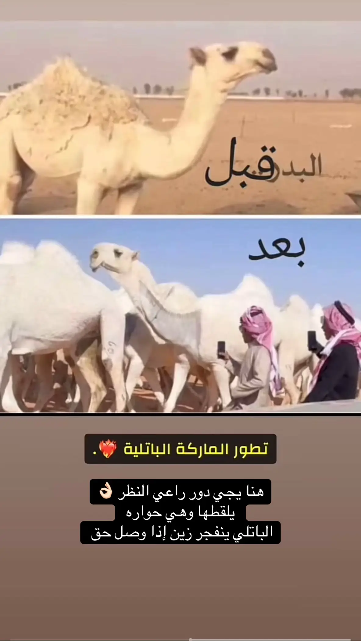 #نوادر_الابل #فرديات_الوضح #مزاين_الصياهد #جادة_الابل #نخبة_المفاريد 