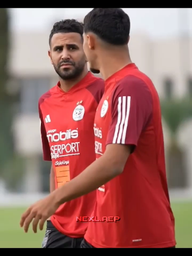 تدريبات المنتخب الوطني اليوم تحضيرا لمبارتي بوتسوانا وغينيا🇩🇿❤️+توقعكم للنتيجة #algeria#football#fyl#fyp#foryou 
