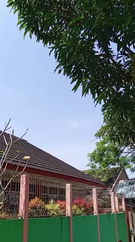 @BuSulistini #silasilapancasila #nilainilaipancasila #tugaspkn #pancasila #fyppppppppppppppppppppppp 