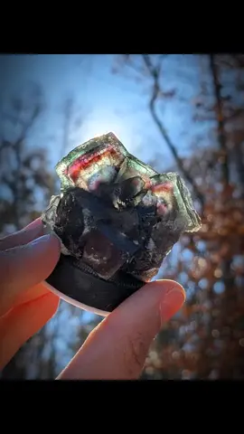 Shout out to my boy Jeremy for this incredible rainbow fluorite. It was one of my very first fluorites & favorites in my collection. JOIN us this WEEKEND for some BRAND NEW MATERIALS at the fairest prices! @Lotz_A_Rokz For each person that makes a claim, big or small gets their name entered into a GIVEAWAY for a georgous green Peruvian Fluorite! So tag your friends in this video, repost,  comment & share to boost this out for me, please. Love you all & hope to see you there! 😊💙