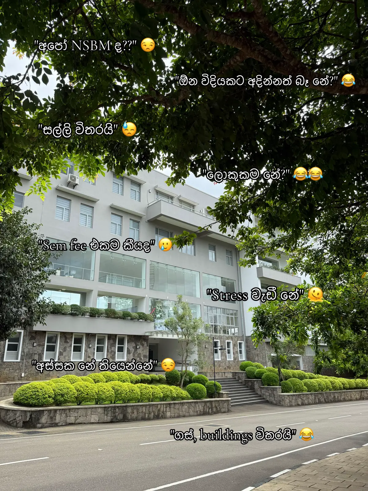 @akeeza @lithu_liyansa 🦋 @Silu_✨🎀 @Senu  Gayansa #fyppppppppppppppppppppppp #unilife #viral #trendingtiktok #nsbmgreenuniversity🍃💚 