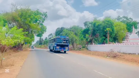 Rathna Travels❤️  මන්නාරම 04 කොළඹ🚀😈  #foryou #onemillionaudition #trending #fyp #viral 