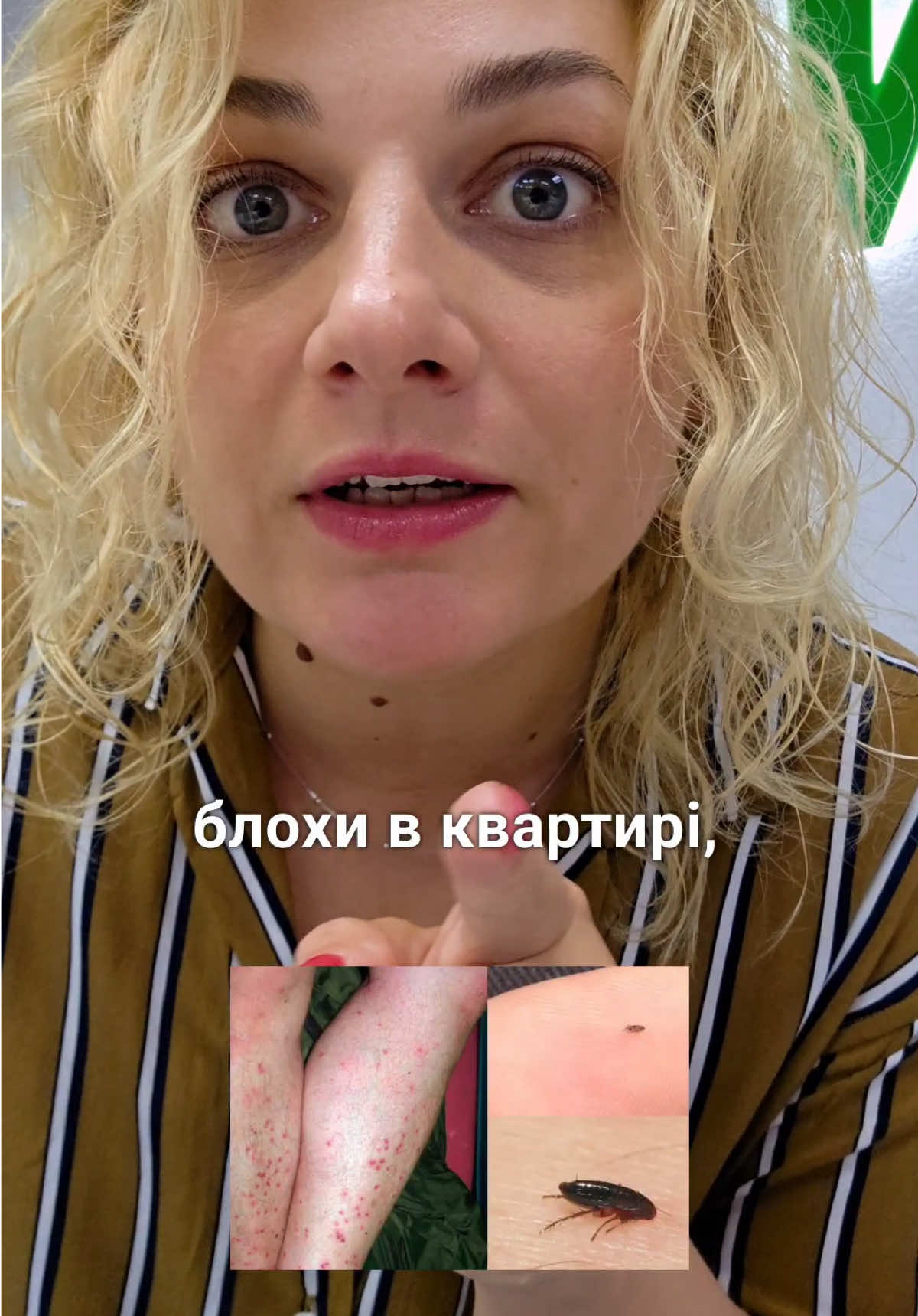 Блохи в квартирі чи будинку?  💡 Що робити? Використати перевірений засіб — Неостомазан. ✅ Ефективно знищує бліх, кліщів, вошей та інших шкідників. ✅ Підходить для обробки приміщень, підлог, меблів та підстилок. ✅ Має тривалий захисний ефект. 📍 Засіб доступний до замовлення на сайті #блохи #паразити #кіт #відбліх #квартира