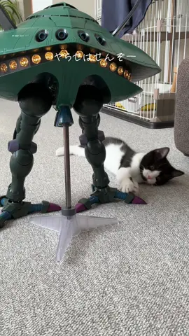 ねことビグザム#ガンダム #gundam #猫のいる暮らし #ねこ 