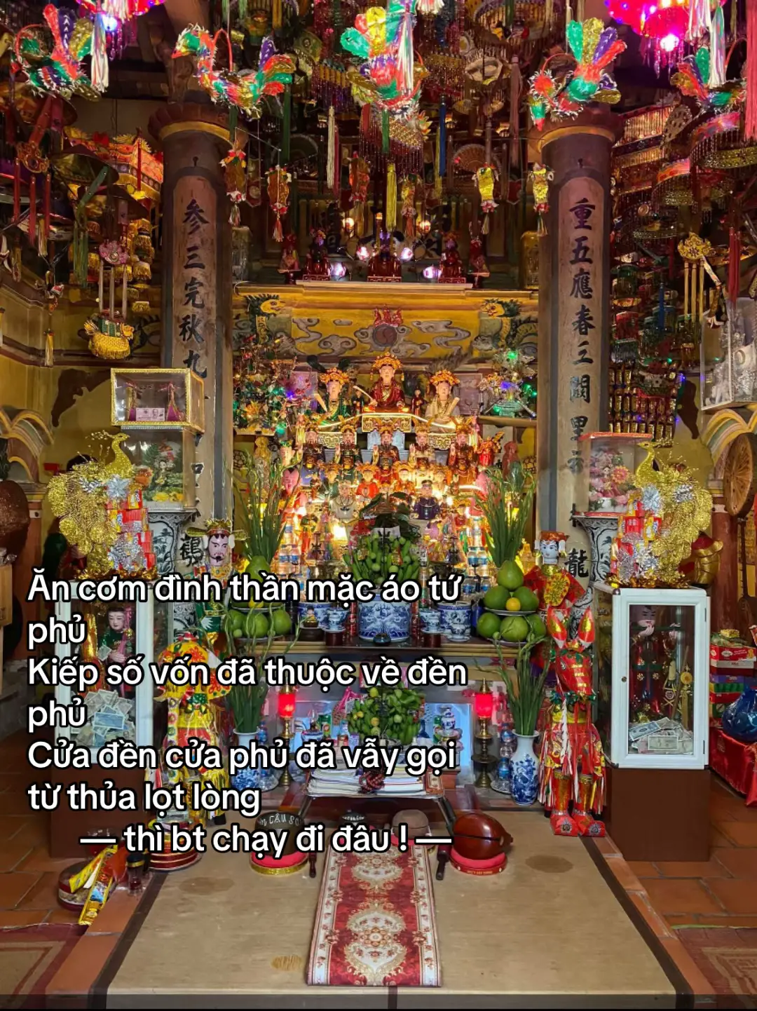 #xhhhhhhhhhhhhhhhhhhhhhhhhhhhhh #xuhuong #denphuvietnam #hocphatmoingay #thuhuyen #tinhtamsamhoi 