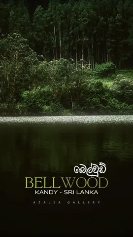 Bellwood Srilanka බෙල්වුඩ් #creatorsearchinsights #cinematic #travel #beautifuldestinations #srilanka 