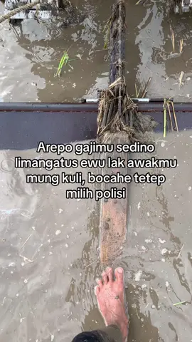 #PETANIMUDA🌾 #traktormaniaindonesia #masukberandafyp 