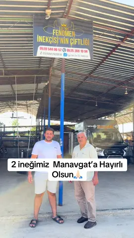 #inek #keşfet #hayvancılık #keşfetedüşürbenitiktok #tiktok #damızlıkbirliği #inekler #keşfetbeniöneçıkar #EGENİNFENOMENİÖZEN 