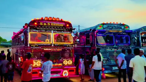 #දම්_රැජිණි_💜️... එයාලගෙ හැඩ 😫❤️#බස්වලට_ආදරේ_අය_ලයික්❤_එකක්_දාන්_යන් #Jaffna #trending #viraltiktok 