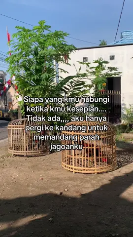 #mangon #bangkok #birma  #pakoy #phanat 