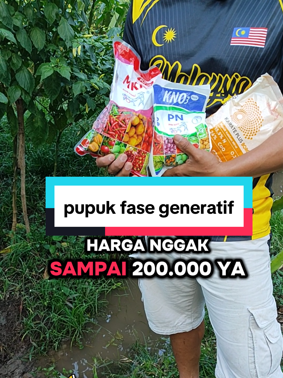 pupuk pertanian super rekomendasi MKP, KNo3, karate boron untuk proses pembungaan/fase generatif#pupuk pak tani 1 paket #mkp #pupukpaktani #kno3putih #modalkontendoang @Baru sinen _13 