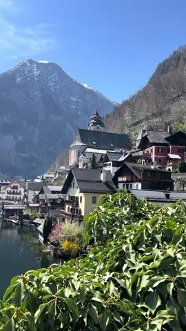 🇦🇹 ⁦‪‏بحيرة هالشتات في النمسا   . Hallstätter See in Austria . #النمسا #سفر #سياحة #طبيعة #تصويري 