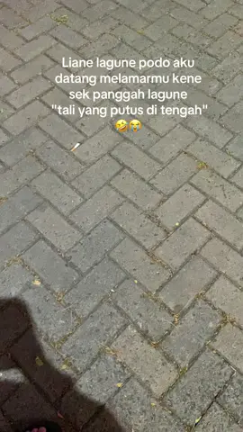 Tuoolong🤣😆😭 #haryotrans #putritunggaltrans #ruangrindu #storycidro #busindonesia 