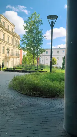„Piękna