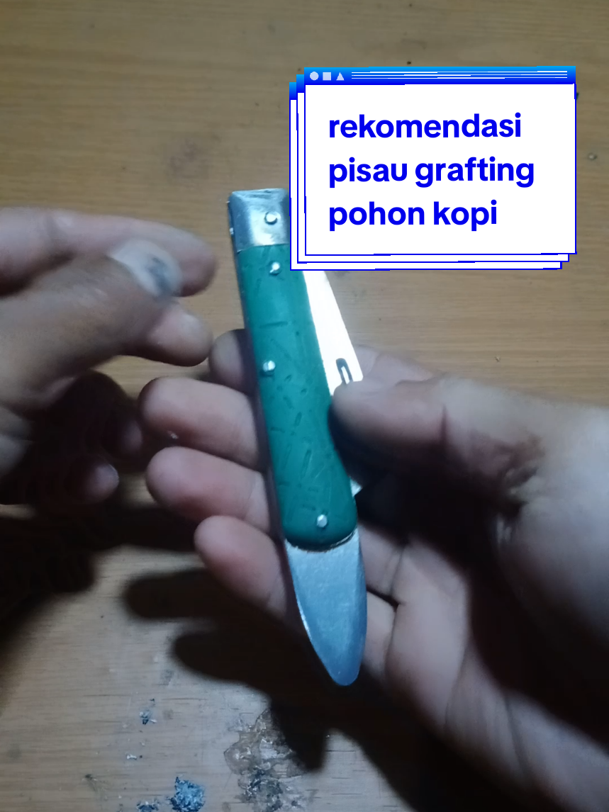 rekomendasi pisau grafting untuk sambung kopi dan berbagai tanaman #alatbertani #pisaugrafting #pisaulipat #pisaulipatgrafting #pisaumultifungsi 