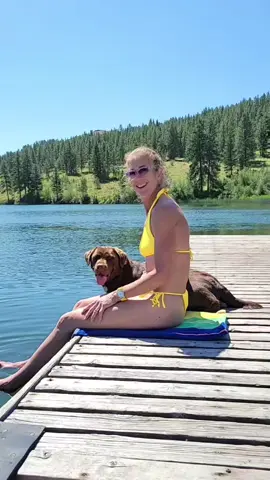 Does your dog like swimming? #foryoupage #fyp #contentcreator #Vlog  #onthisday 